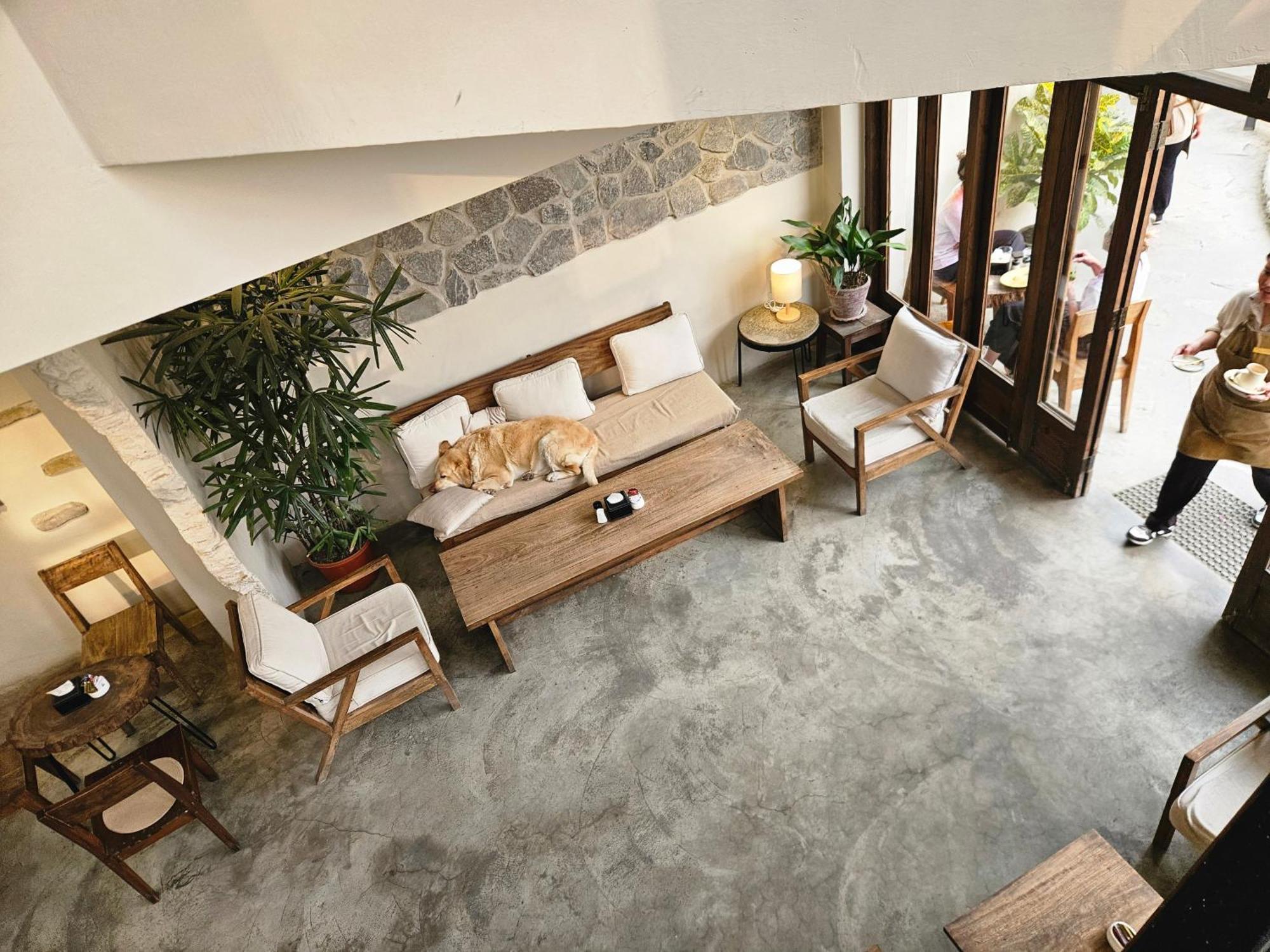 Hotel Blossom Pokhara Exterior photo